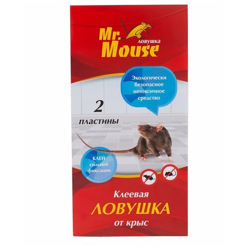      (2 .), Mr. Mouse   -     , -, 