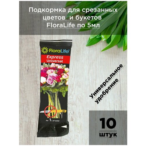    Floralife    - 10   5  /     / Oasis   -     , -, 