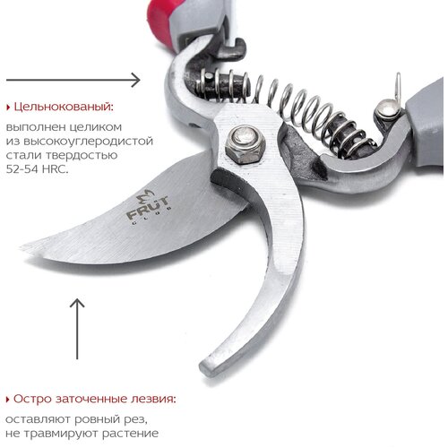 ���� �������  Frut 402217 200 ������ ������