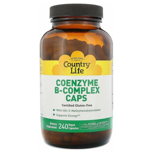 ���� �oenzyme B-complex, 210 ��, 240 ��., 1 ��. ������ ������