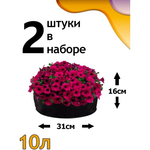 ���� ������ ���� 10� - 2�� ������ ������