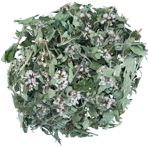 ���� ��������� �����, ������� 25�. ������ ������