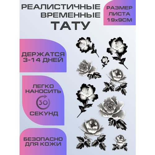 ���� ���� ���������� ��������������, ��������� ���� ������ ������